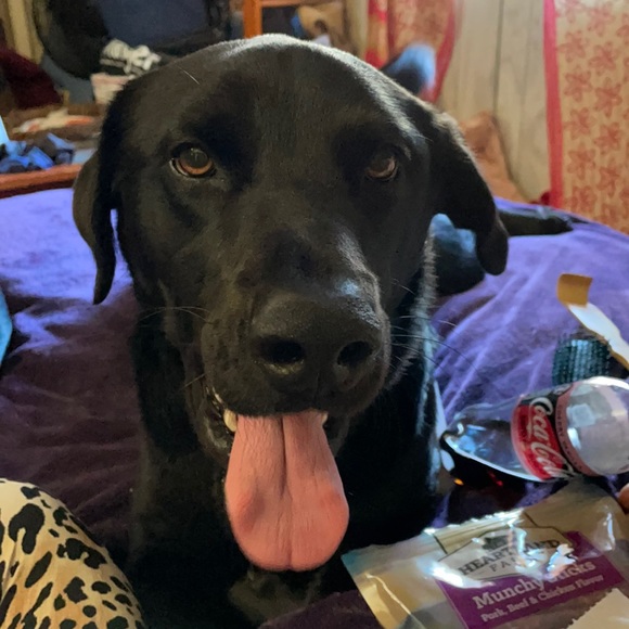 Meet your Posher, Angela - Picture 8 of 12